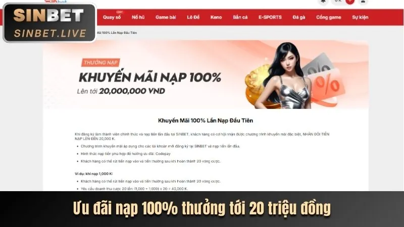 Lựa chọn của người dùng về cookie